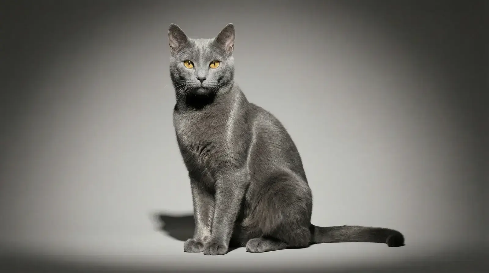 Frontal Light, пример 1