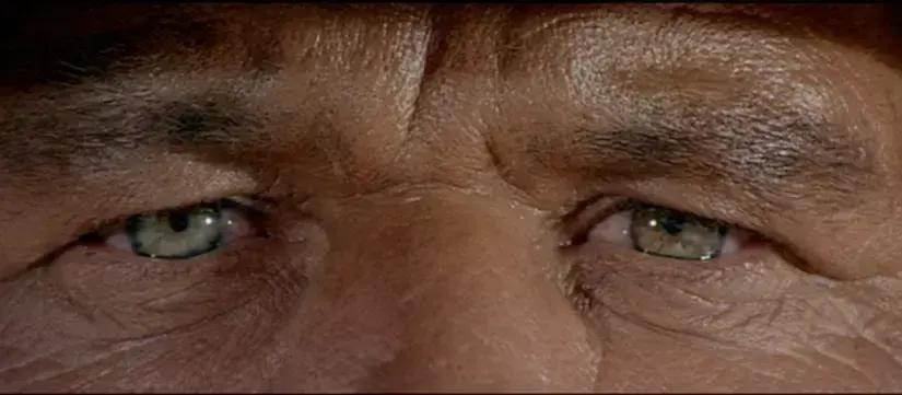 extreme close-up, пример 3