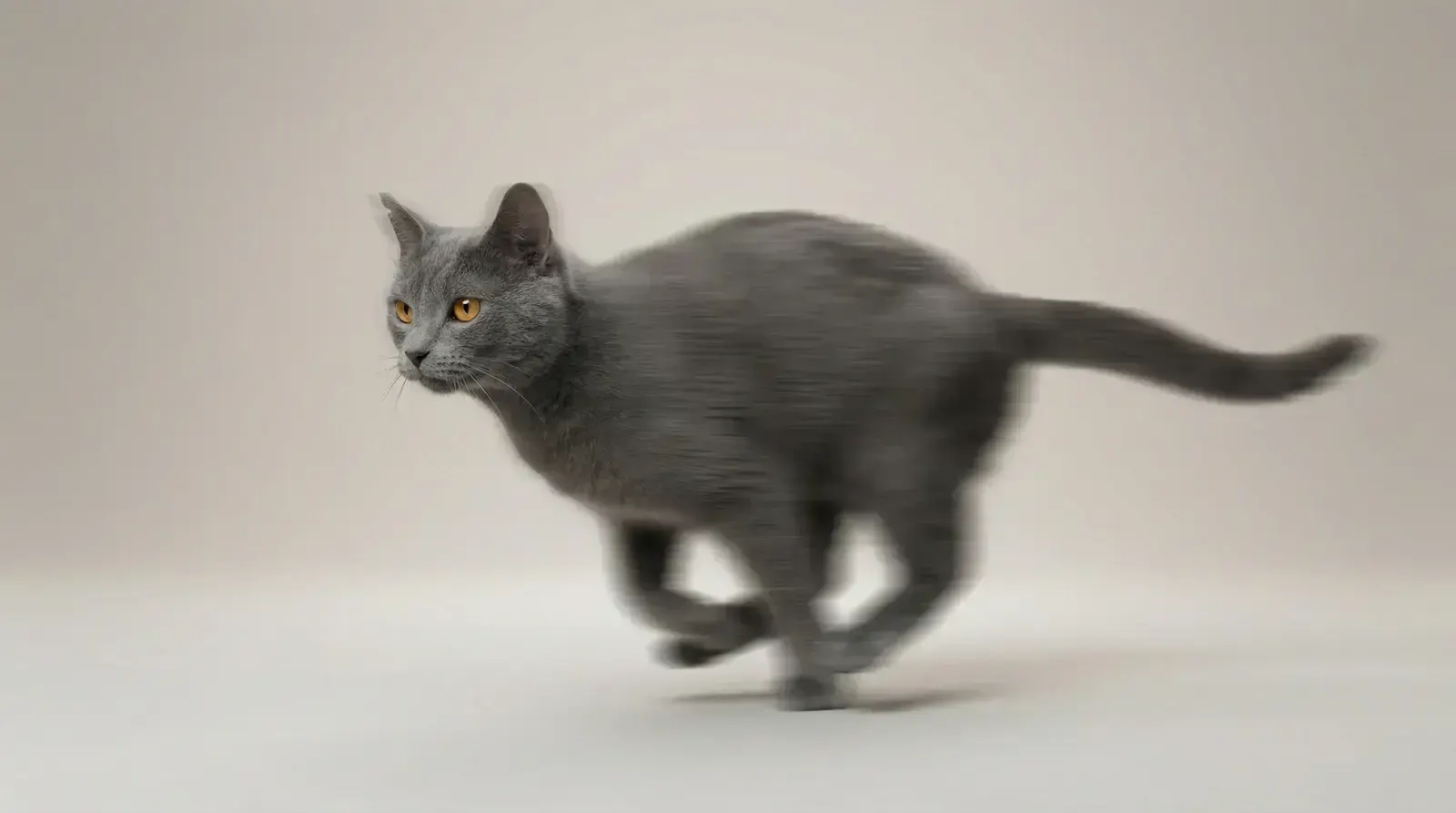 Motion blur, пример 1