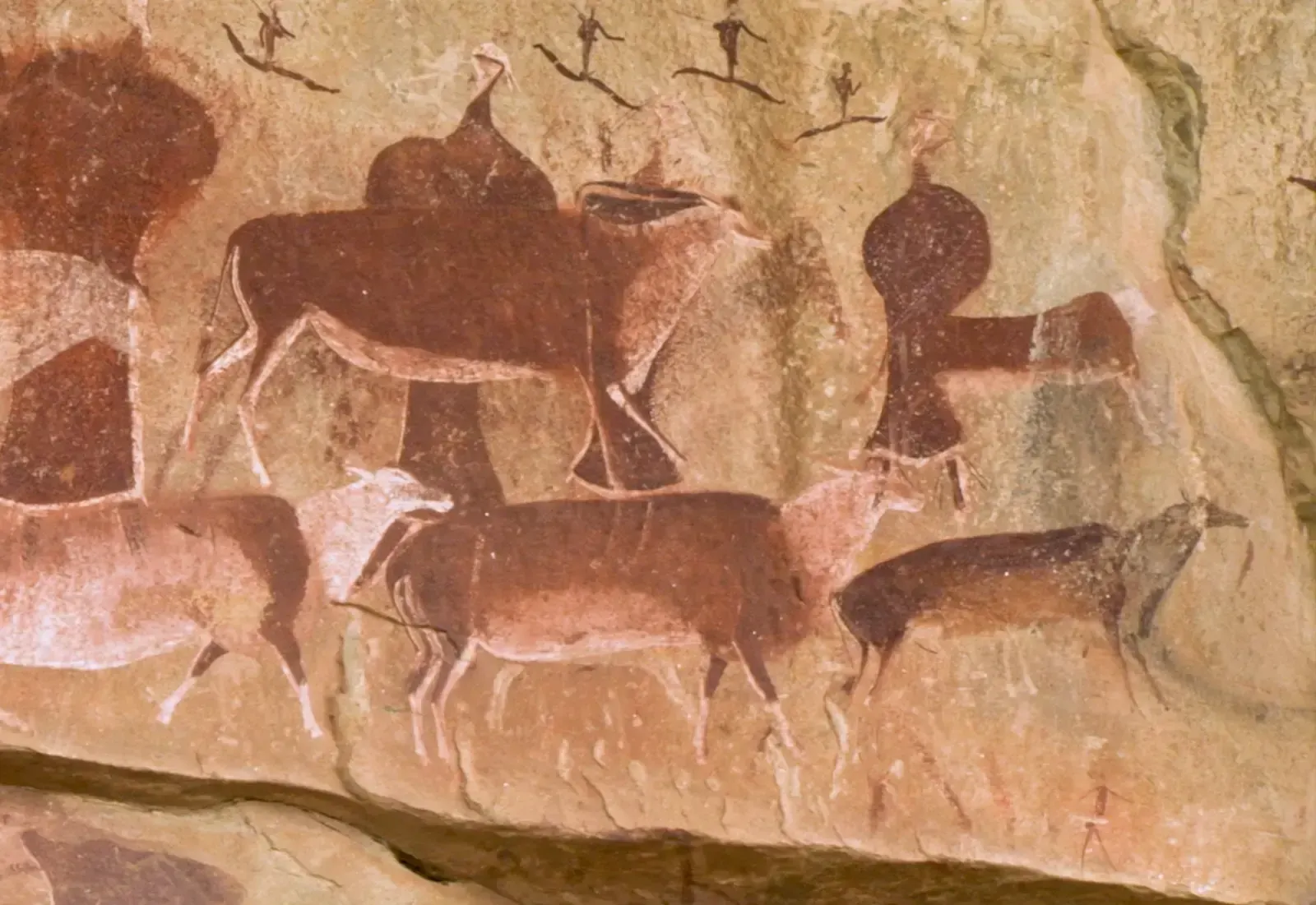 San rock art, пример 3