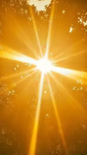 Sunstar flares, пример 2