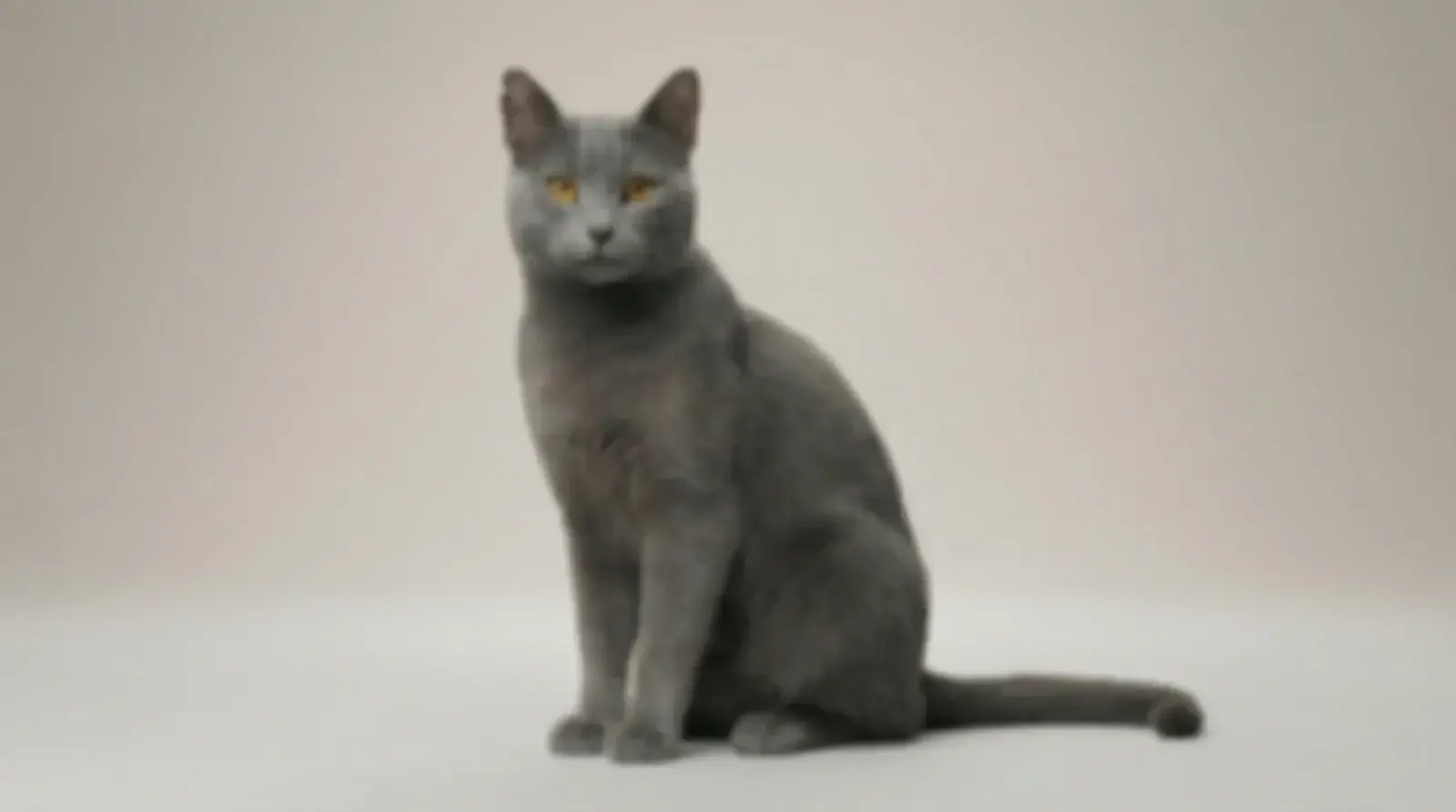 blurred, пример 1