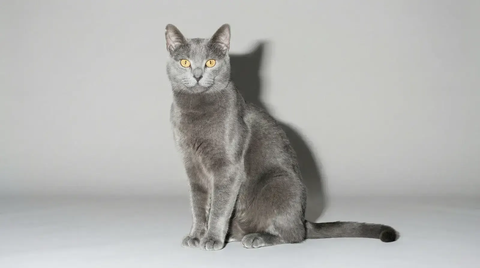 camera flash, пример 1