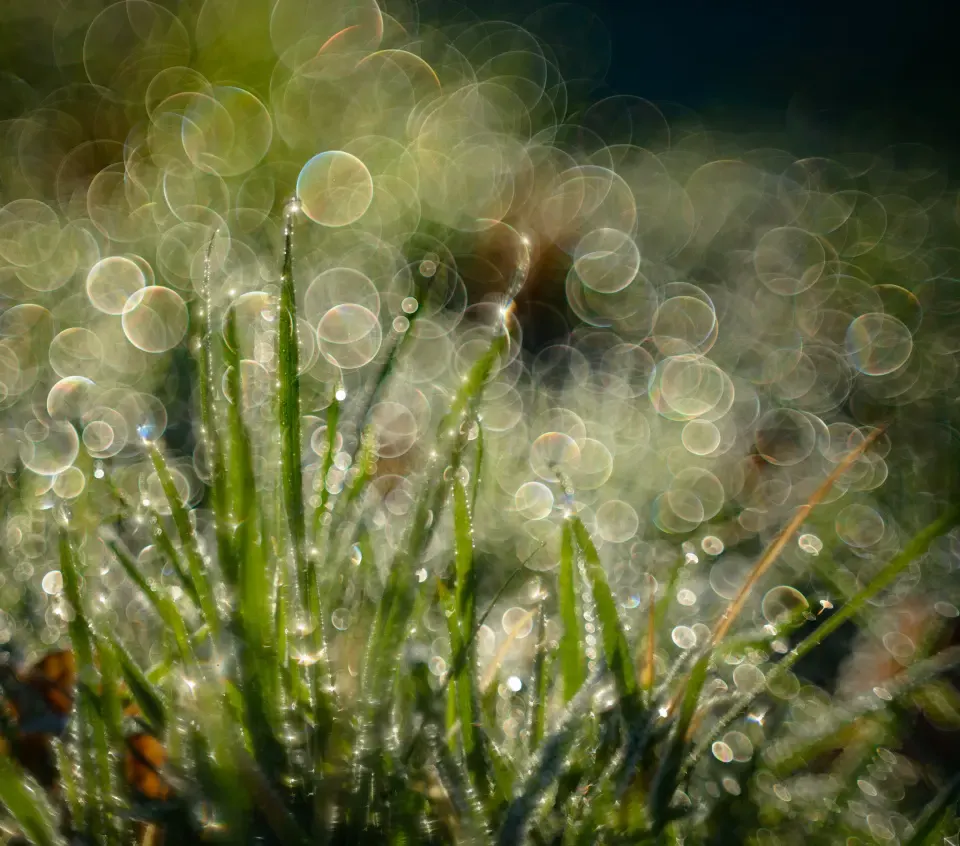 soap-bubble bokeh, пример 2