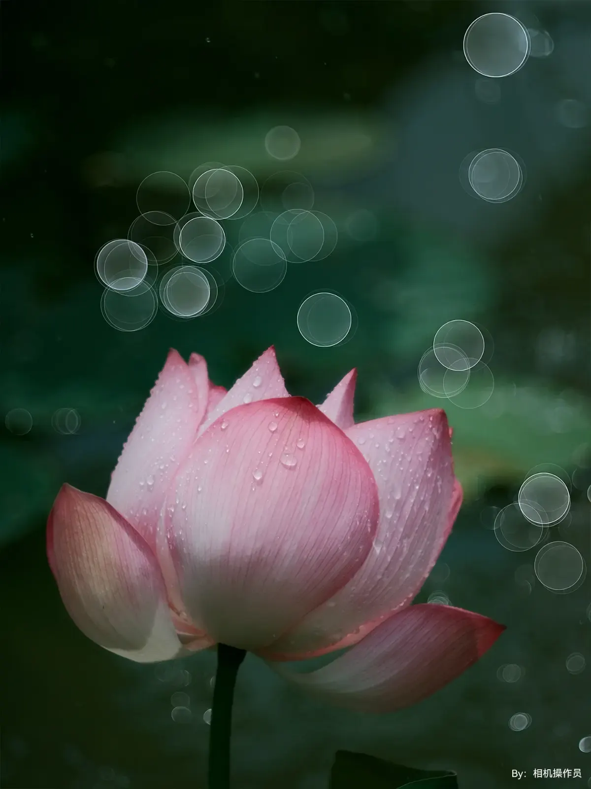 soap-bubble bokeh, пример 3