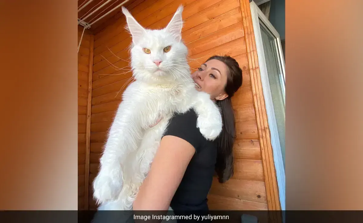 Tall, пример 1