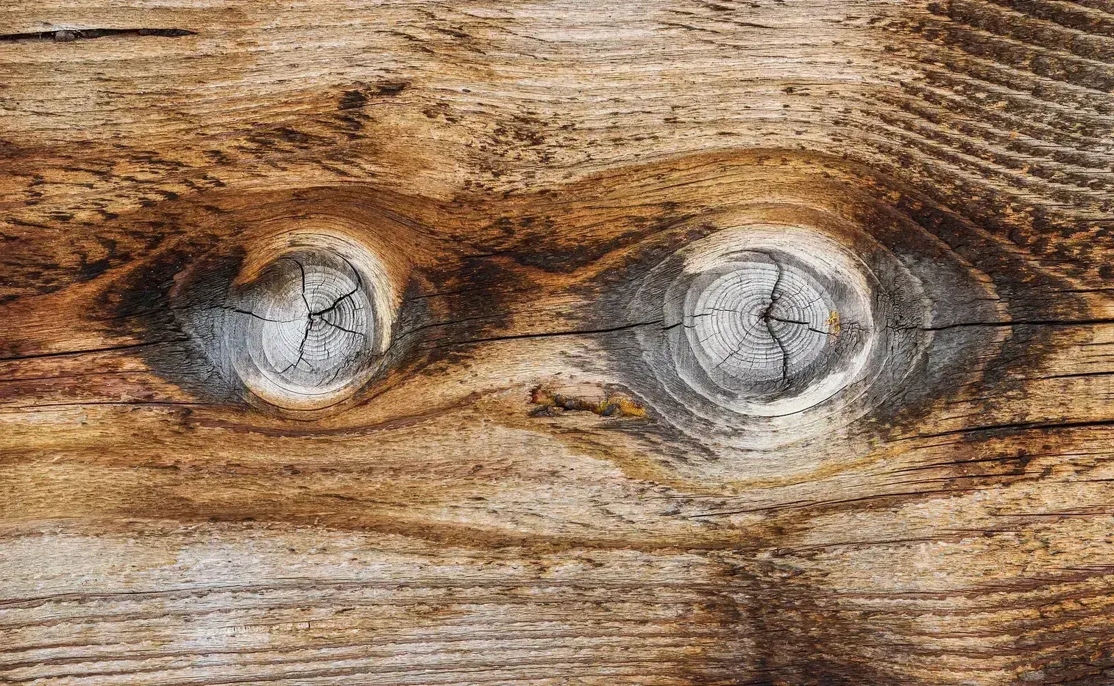 wood grain, пример 2