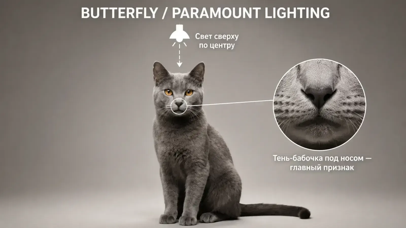 Butterfly Light, пример 1