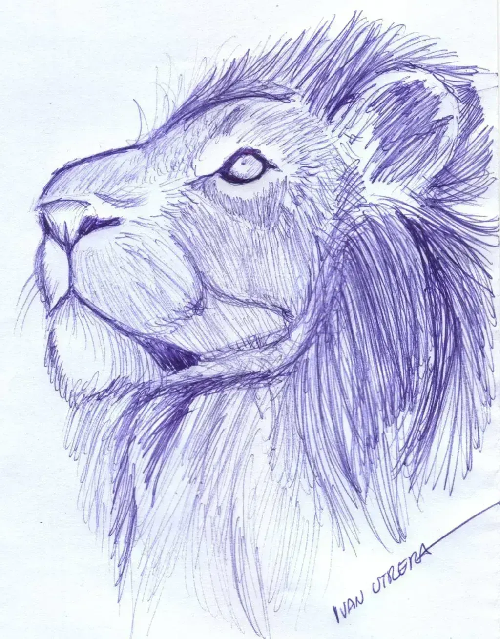 Pen Sketch, пример 3