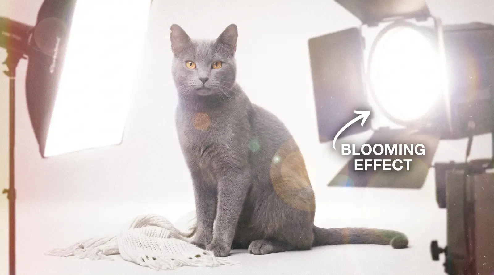 Blooming, пример 2