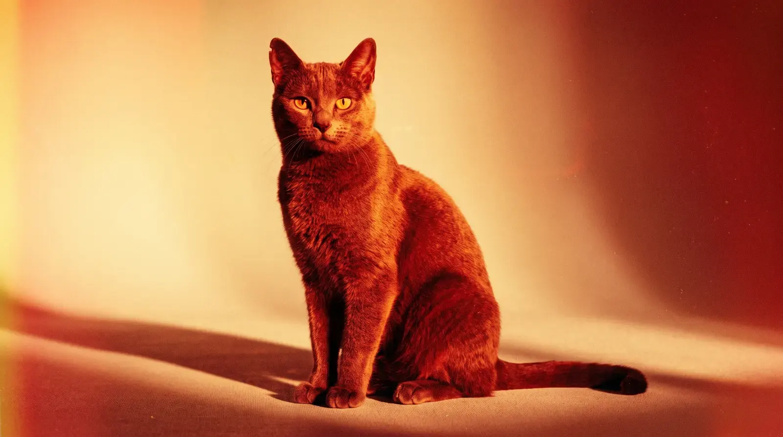Redscale, пример 1